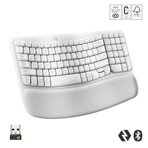 Ergonomic Computer Keyboard with Cushioned Palm Rest